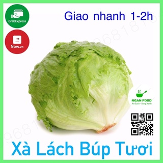 Xà lách búp tươi xanh rau xanh đà lạt giao nhanh 1-2h