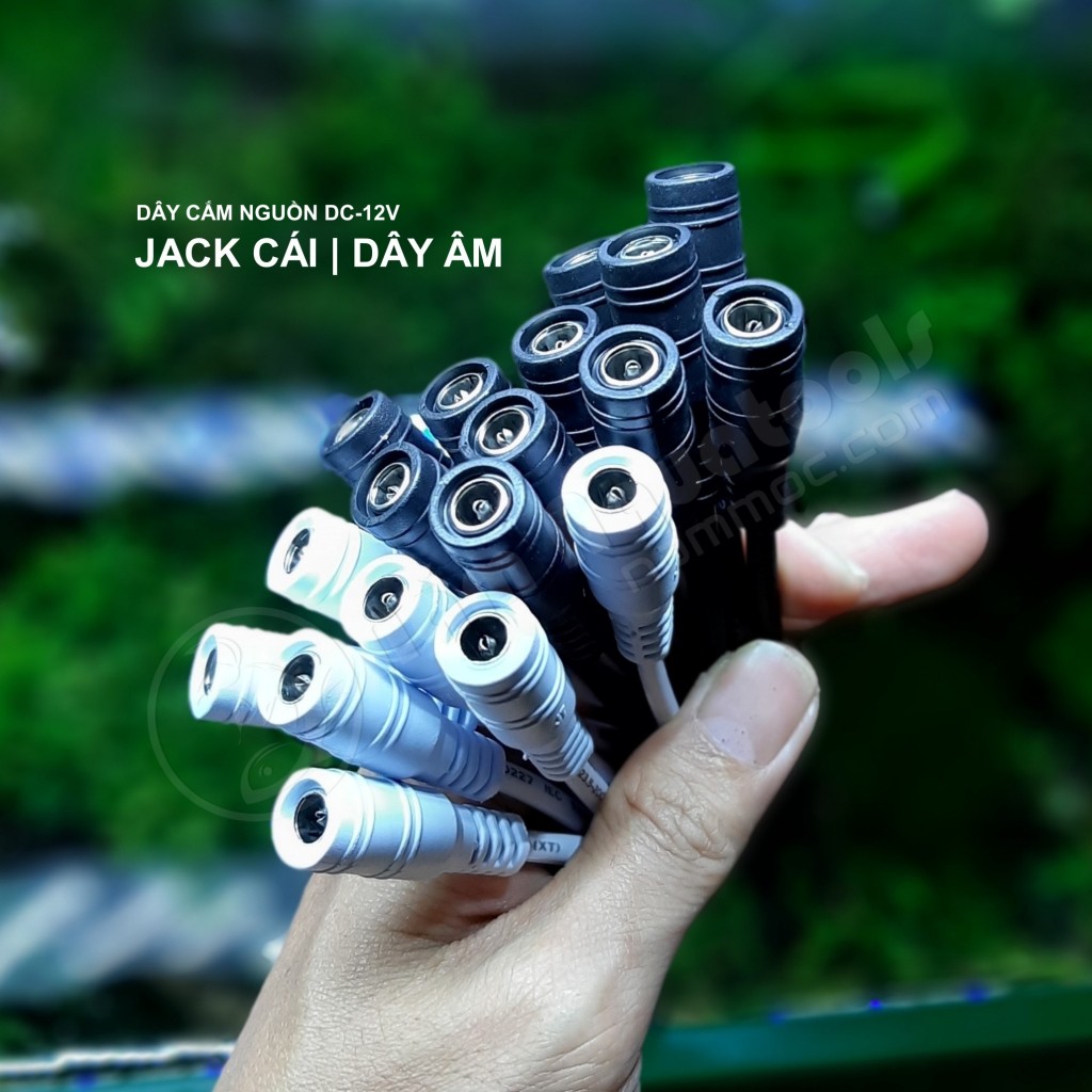 Dây Âm DC-12V | Jack Cái 5.5*2.1mm | Cổng Âm DC-12V - Jack DIY Đèn, Quạt Thuỷ Sinh