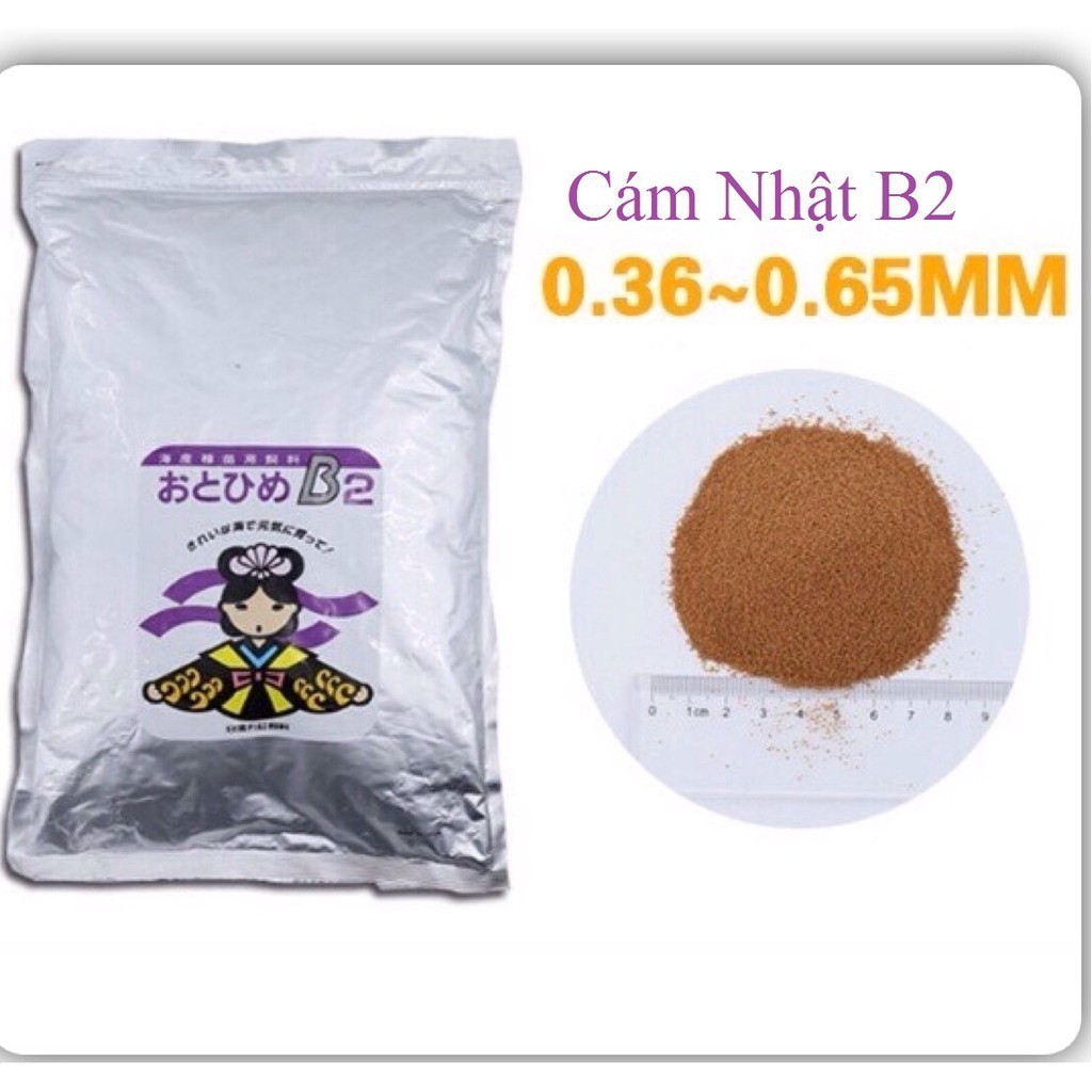 THỨC ĂN CÁM B2 TỐT NHẤT CHO CÁ 7 MÀU CÁ CẢNH BAO 2KG