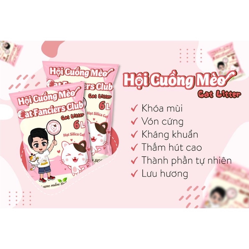 CÁT VỆ SINH HỘI CUỒNG MÈO 6L