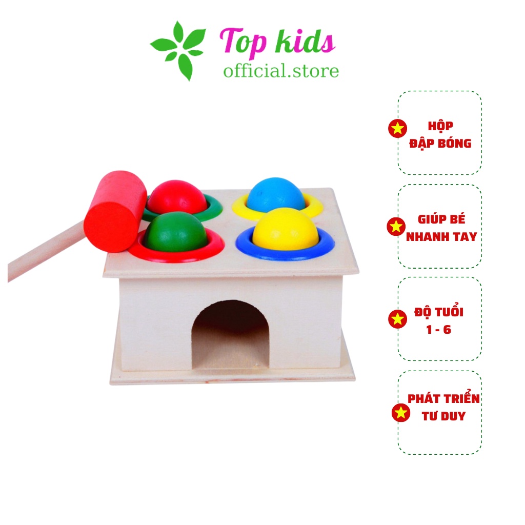 Đồ chơi gỗ thông minh montessori combo 5 bộ xếp hình khối giáo dục sớm cho bé trai bé gái 1 2 3 4 5 6 tuổi TOPKIDS