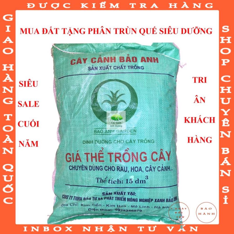 Đất hữu cơ trồng rau, hoa, cây cảnh Bảo Anh 15dm3 - hot tiktok