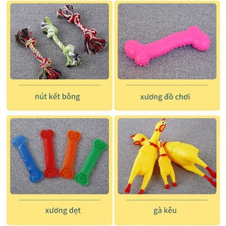 Bộ đồ chơi cho cún cưng toypet full option annhi88