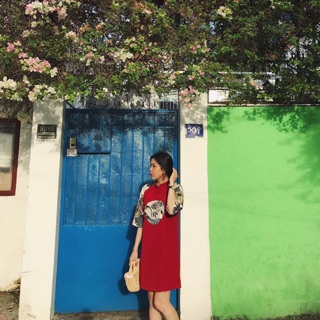 Đầm phối gấm