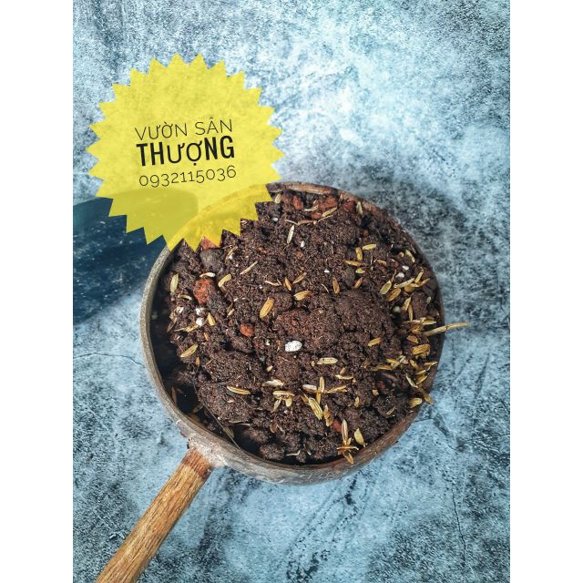 Đất Trồng Cây Hương Thảo  Đã Trộn Sẵn