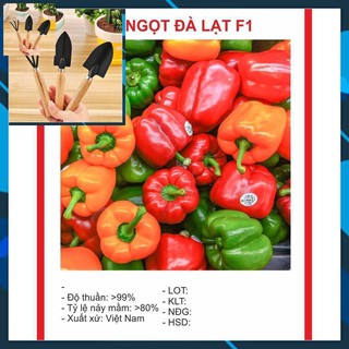 Hạt Giống Ớt Ngọt Nhiều Màu 20 Hạt TẶNG BỘ LÀM VƯƠN MINI