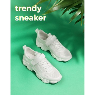 Giày Stra sz 38- Hậu Bùi
