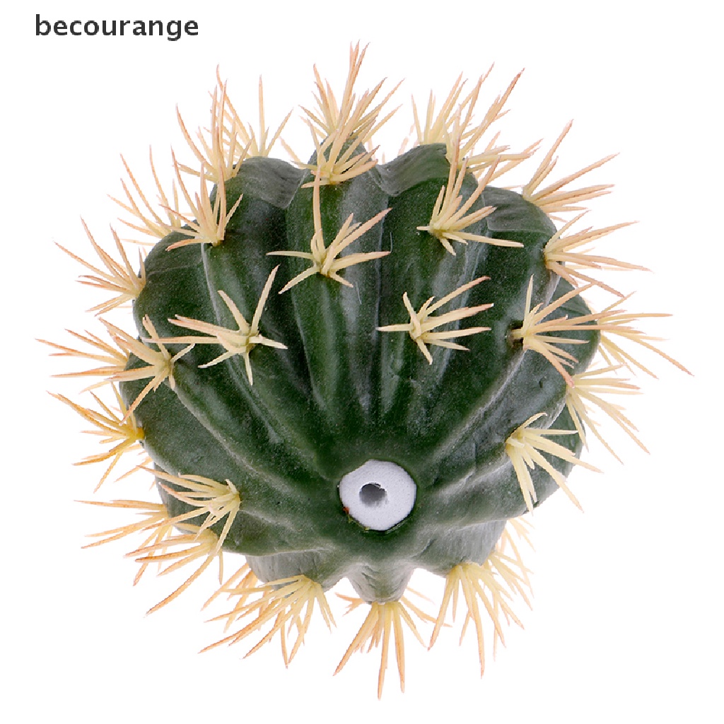 1 Ăng Ten Hình Cây Xương Rồng Trang Trí Xe Hơi