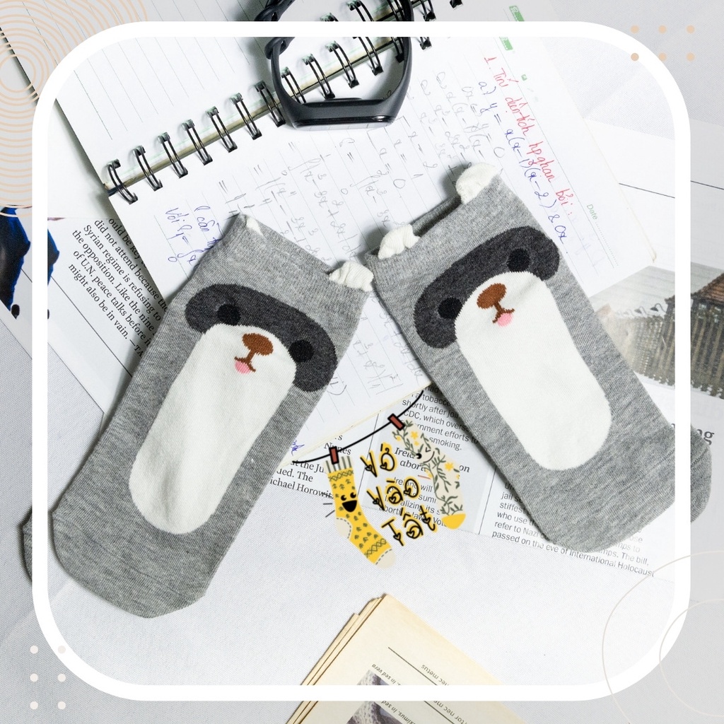 TẤT VỚ CỔ NGẮN MÈO CÚN CÓ TAI