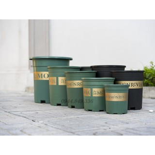Chậu Monrovia VIỆT NAM 1GL