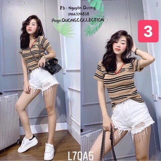 Áo kẻ bbr hàng len mongtoghi đẹp Quảng Châu