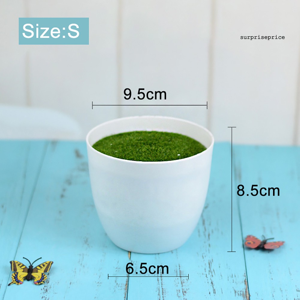 Chậu hoa bằng nhựa hình tròn dễ thương xinh xắn