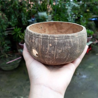 Chậu không hoa văn SIZE NHỎ