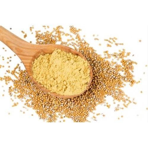 Bột Mù Tạt Vàng - Mustard powder loại ngon