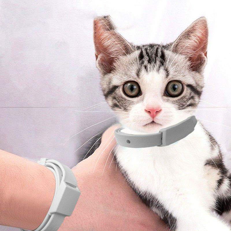 VÒNG CỔ CHỐNG VE RẬN BỌ CHÉT Ở MÈO