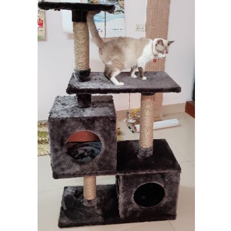 Nhà Mèo Khổng Lồ 😻 FREESHIP 😻 Inbox Shop để được giảm giá