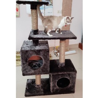 Nhà Mèo Khổng Lồ 😻 FREESHIP 😻 Inbox Shop để được giảm giá