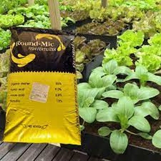 Đạm Cá Hàn Quốc Round Mic 100g - Hàng Tốt Giá Rẻ
