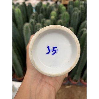 Bình đựng rượu sake - decor trang trí- gốm sứ Nhật
