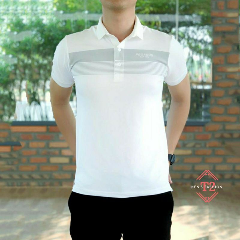 Áo Thun Nam Tay Ngắn Polo Có Cổ AT04 In 2 Sọc Ngang Ngực | BigBuy360 - bigbuy360.vn