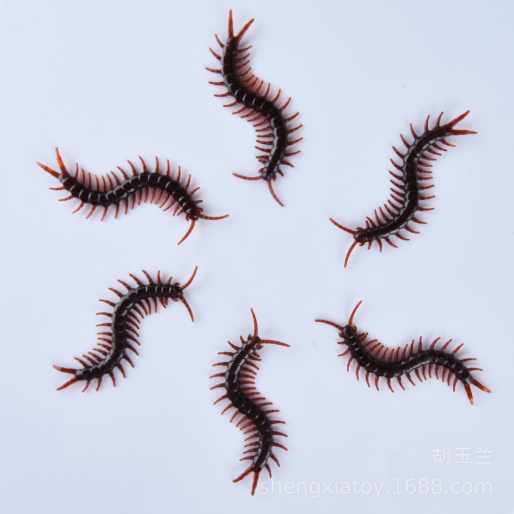 CON RẾT GIẢ côn trùng giả dùng để trang trí hoặc chơi khăm troll bạn bè