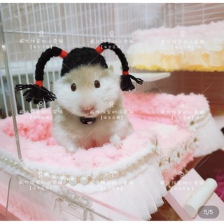 nón mũ hamster tóc giả 2