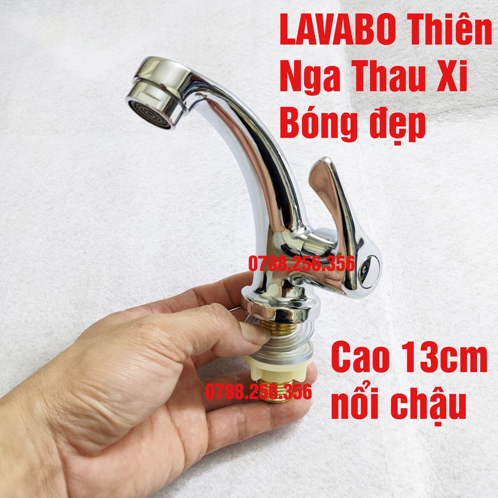 Vòi lavabo lạnh Thiên Nga kiểu dáng cách tân, Lavabo rửa mặt xi, lavabo điếu inox 304 lựa chọn trong bài