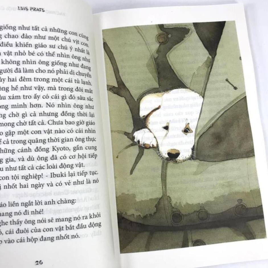 Sách - Hachiko - Chú chó đợi chờ - Cuốn tiểu thuyết làm rung động hàng triệu con tim trên thế giới - NXB Kim Đồng