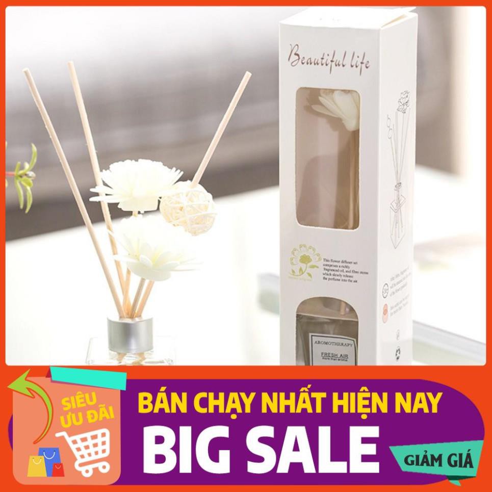 Tinh dầu thơm phòng Aromatherapy