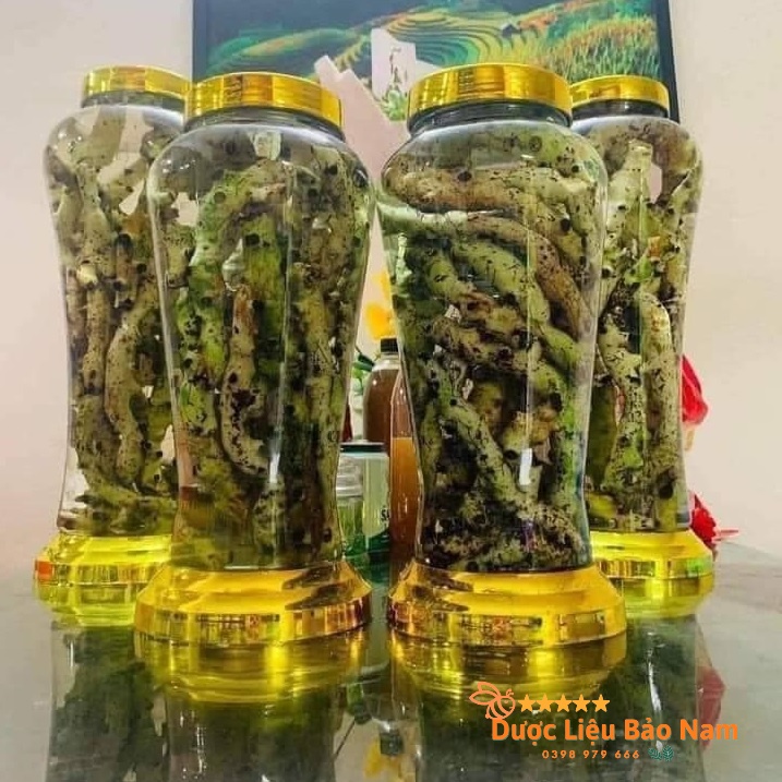 Tắc Kè Đá  tươi Tây Bắc 1kg