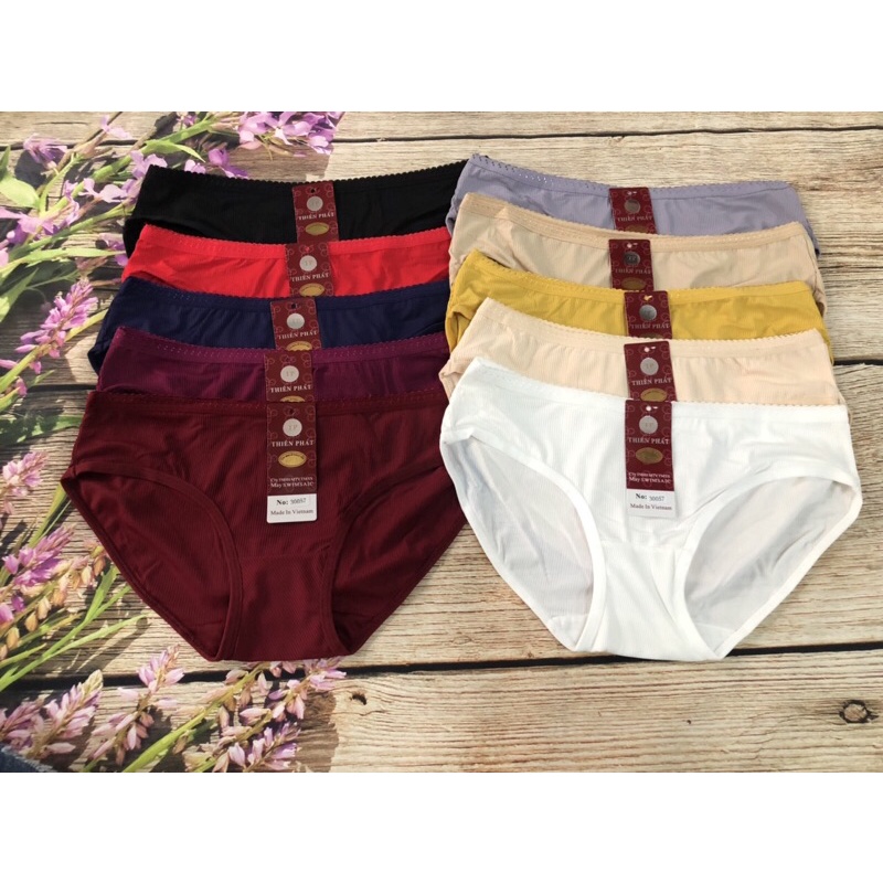 combo 10 quần lót thun lạnh sọc gân ( hình thật)