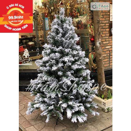 Cây Thông Noel Phủ Tuyết 90cm, 1m2, 1m5, 1m8, 2m1, 2m4, 3m Cây Thông Trang Trí Noel Giáng Sinh Hàng Việt Nam Cao Cấp