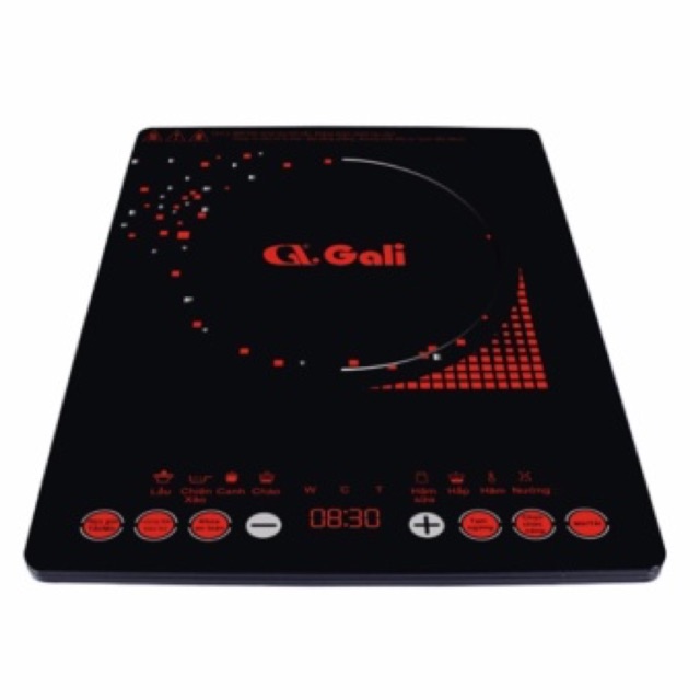 Bếp từ Gali GL-2017