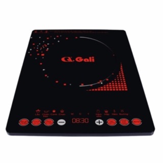 Bếp từ Gali GL-2017