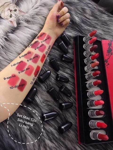 SET SON 12 CÂY SIÊU HOT | BigBuy360 - bigbuy360.vn