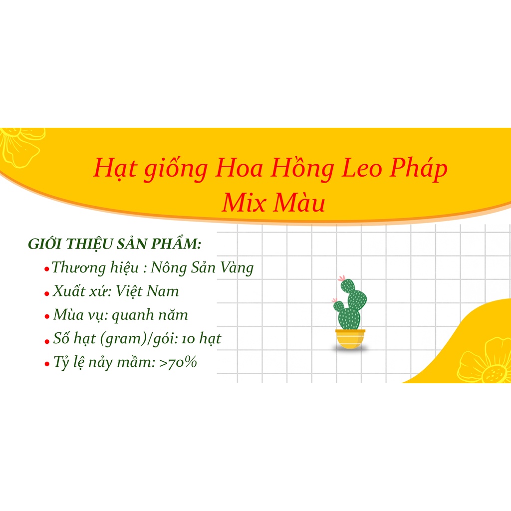 Hạt giống Hoa Hồng Leo Pháp ( Gói 10 Hạt ) - Nông Sản Vàng