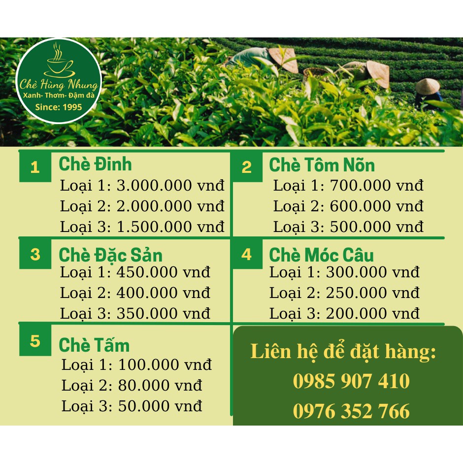 Chè Thái Nguyên chè Móc Câu loại 3 Tân Cương- Chè Hùng Nhung Tân Cương- Thái Nguyên | BigBuy360 - bigbuy360.vn