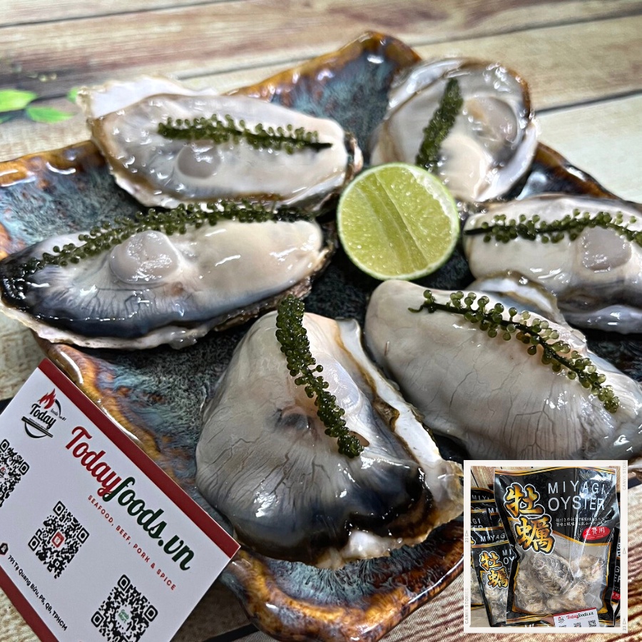 [CHỈ GIAO HCM] Hàu Nhật Bản Miyagi - Hàu chuẩn Sashimi 2L (5-6 con) 1KG Todayfoods