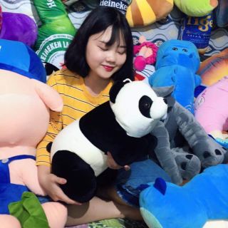 (Ảnh thật ) Gối ôm, Gấu Chúc panda cao cấp size 65cm