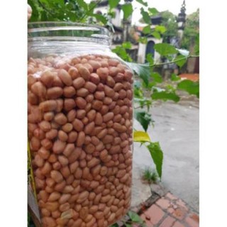 Lạc đậu phộng rang sẵn🥜𝐓𝐔́𝐈 𝟓𝟎𝟎𝐆𝐑𝐀𝐌 🥜 Lạc rang đã bóc vỏ thơm ngậy (Loại 1)