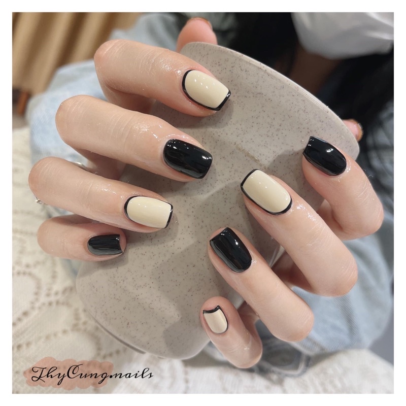 Nailbox thiết kế giá rẻ