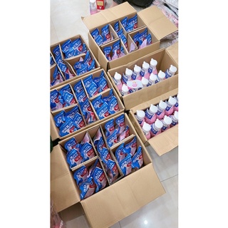 Nước rửa bình Arau Nhật