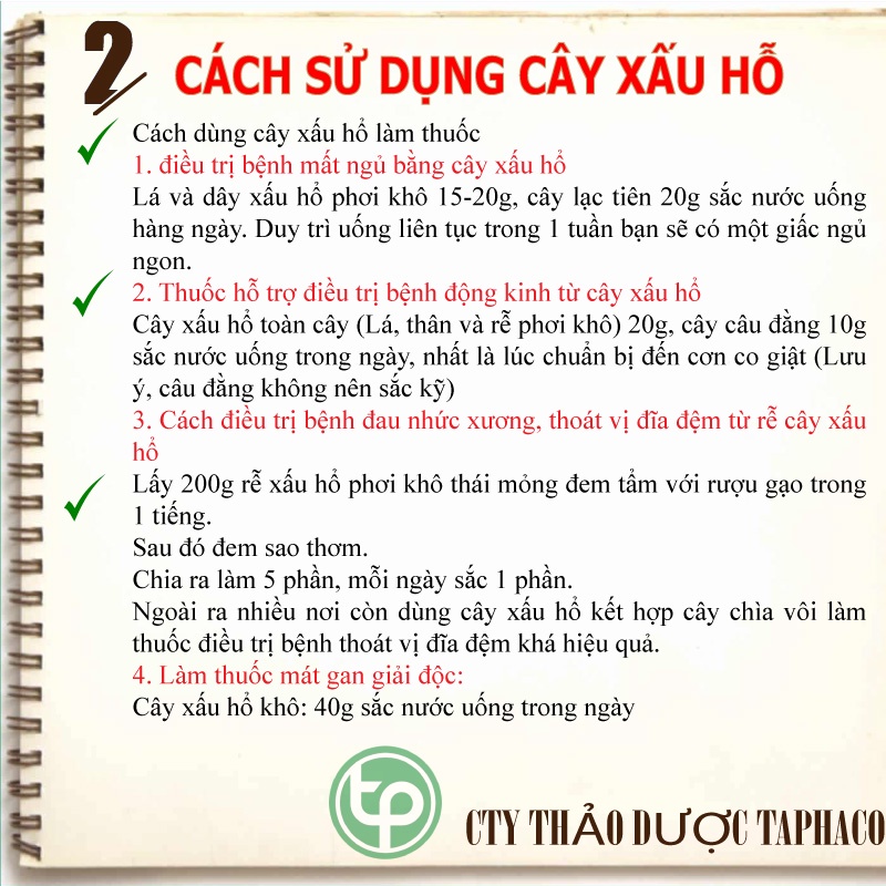 [Hàng Công Ty] Cây mắc cỡ ( xấu hổ ) khô