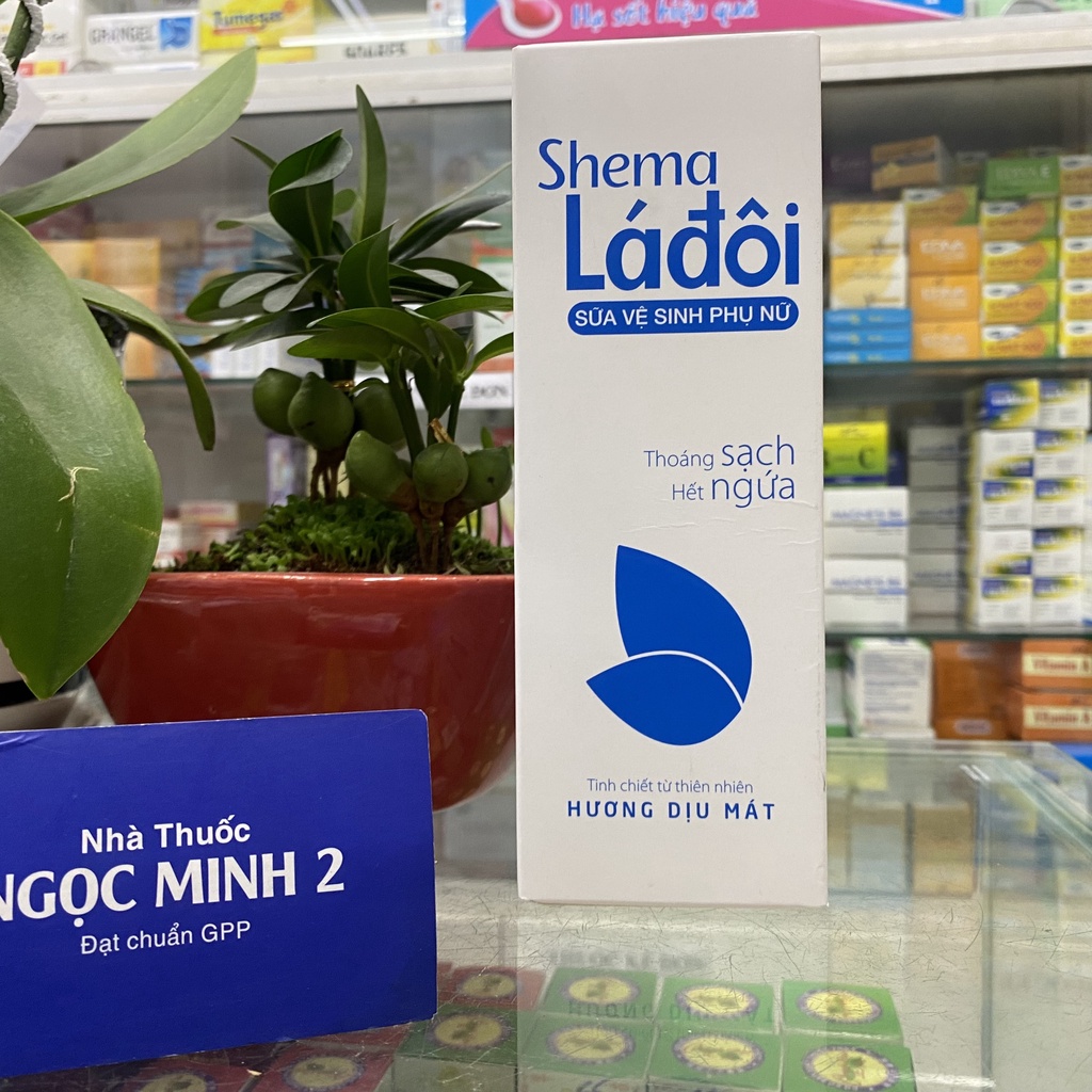 ✅ [Chính Hãng] Shenna lá đôi sữa vệ sinh phụ nữ