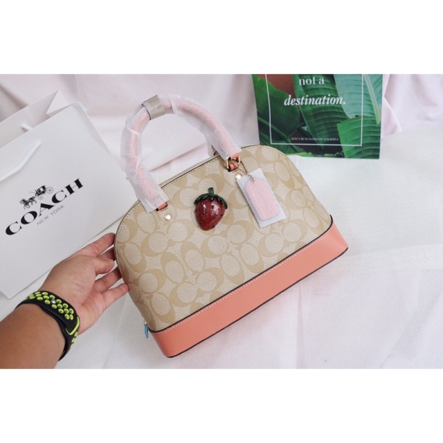 Túi Coach hến