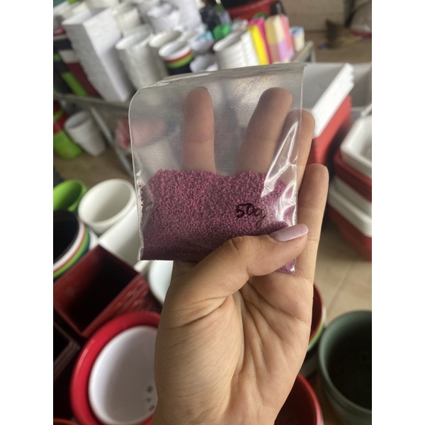 Thuốc tím trị rệp Thái Lan