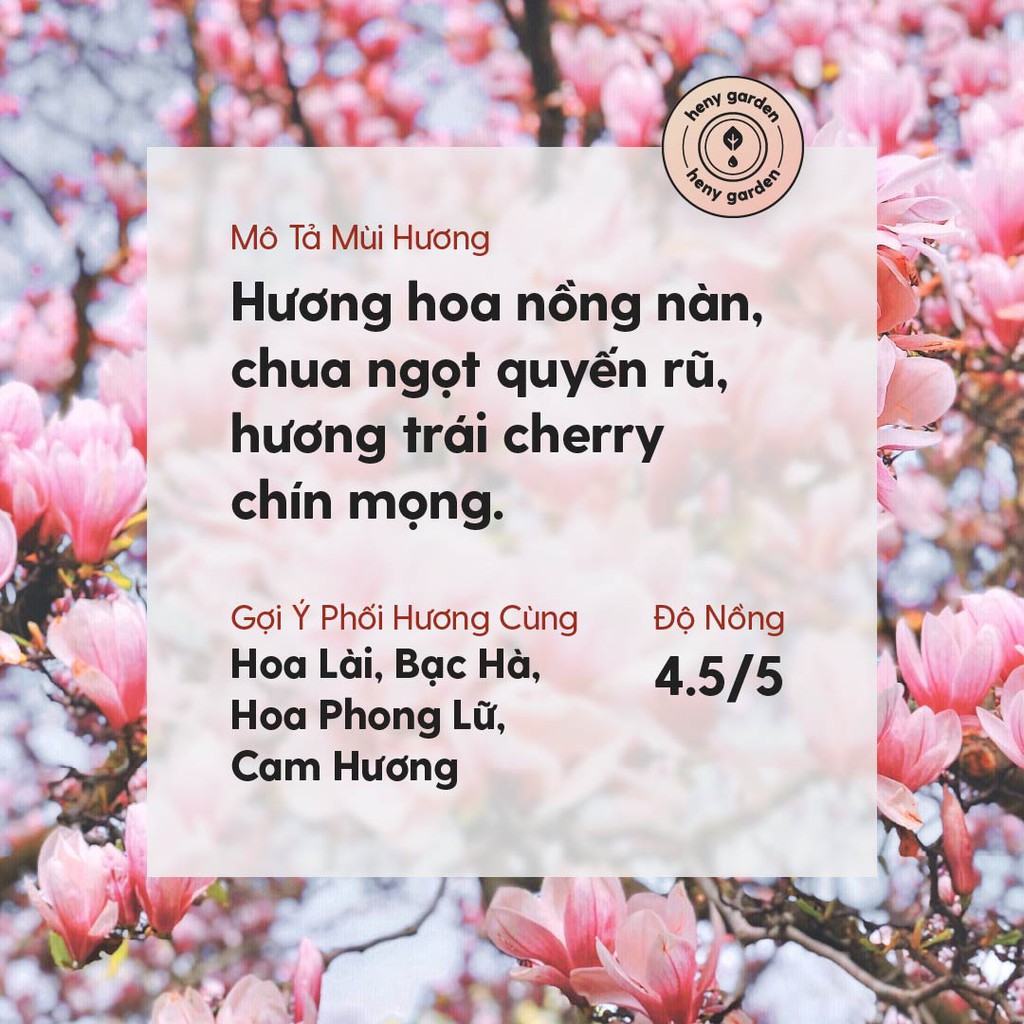 Tinh Dầu Hoa Anh Đào Heny Garden – Xông Phòng, Làm Nến Thơm, Dưỡng Da – Nguyên Chất 10ml – Tặng 3 Tinh Dầu Mẫu Thử