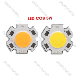 Mắt led cob 5W