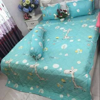 Combo sét chăn ga phủ, chăn phao trần bông