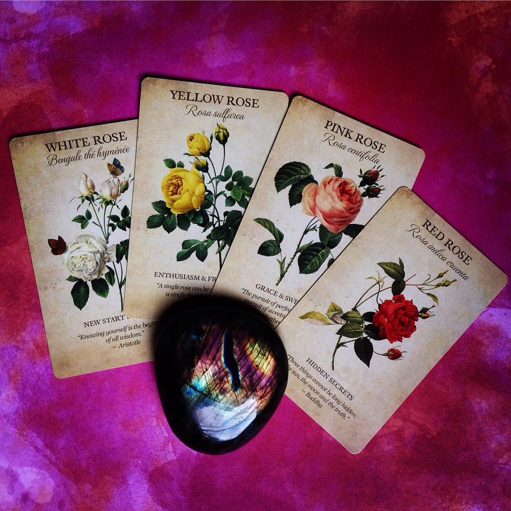 Bài Botanical Inspirations